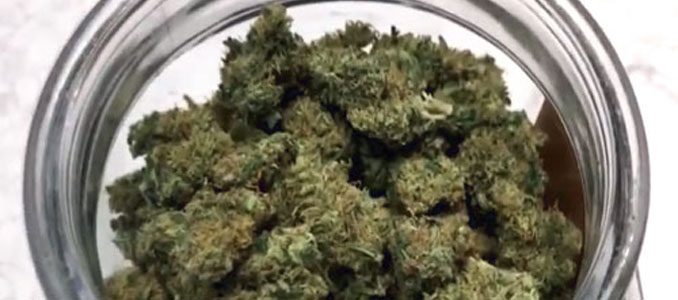 marijuana6-S