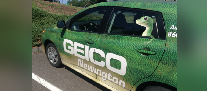 Geico S