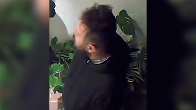 Palo Alto burglar3 S