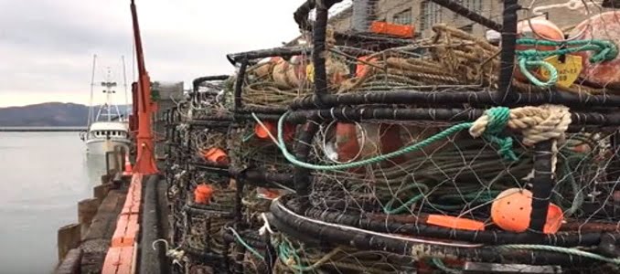 crab-season S