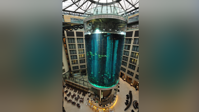 AquaDom S