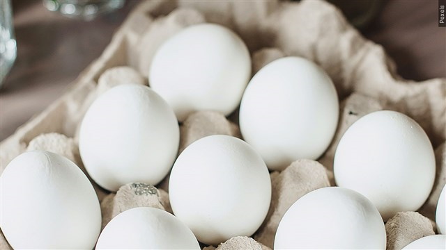 egg3 S