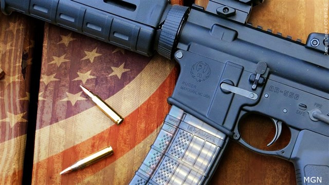 gun law S