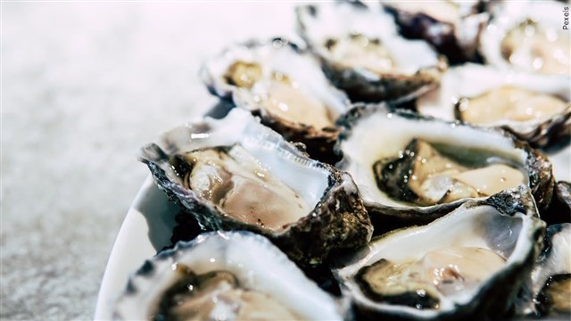 oyster S