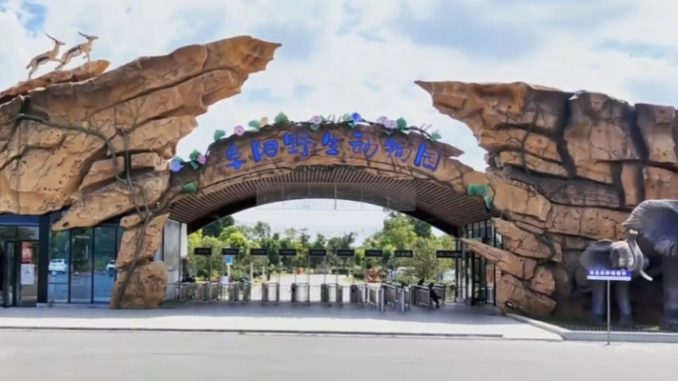 China zoo S