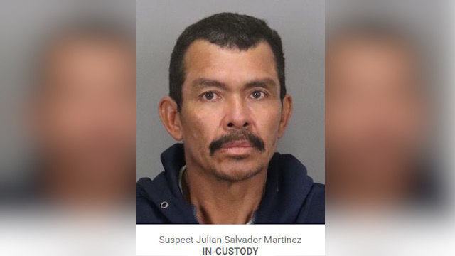 Julian Salvador Martinez S