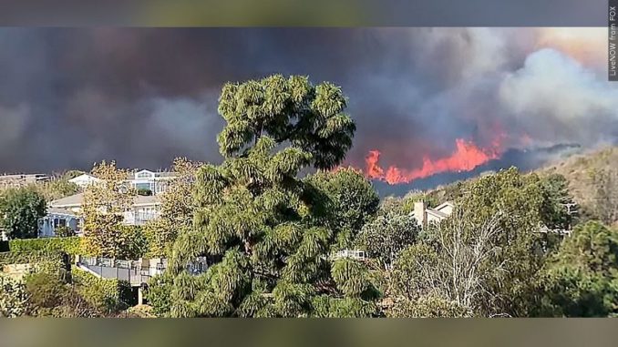 Palisades fire S