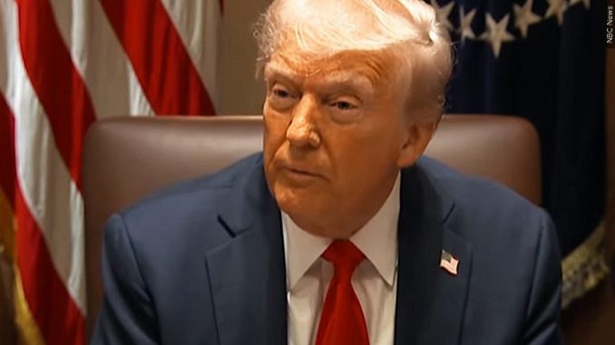 Trump233 S