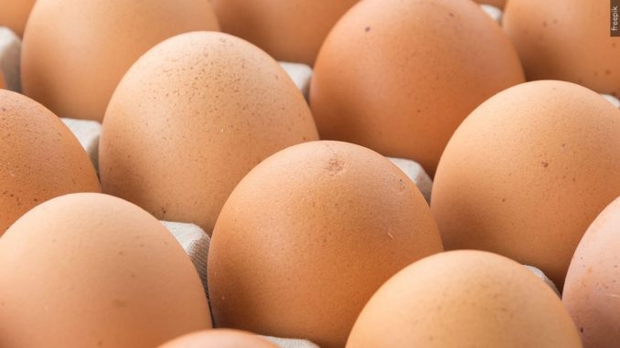 egg6 S
