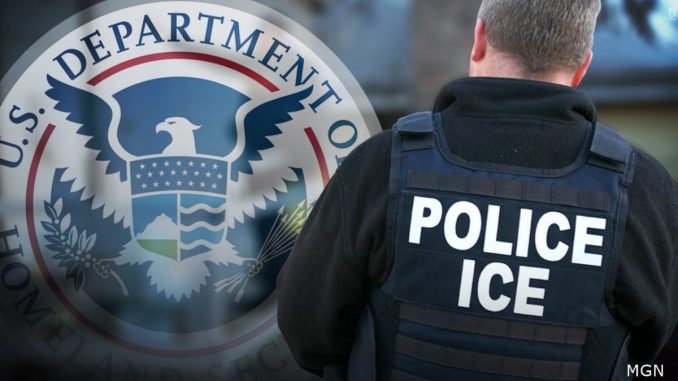 ICE arrest S
