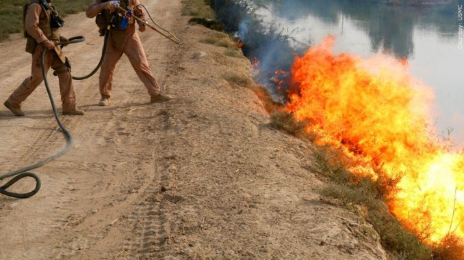 brush fire S