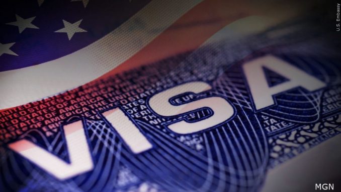 immigration visa S