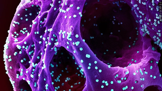coronavirus Omicron7 S
