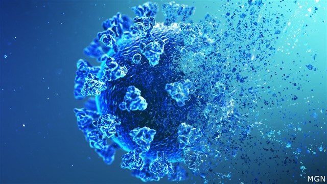 coronavirus13 S